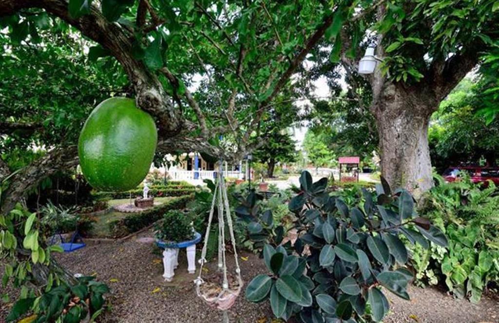 نزل سانتياغو دي لوس كاباليروسفي Sana El Jardin Secreto المظهر الخارجي الصورة